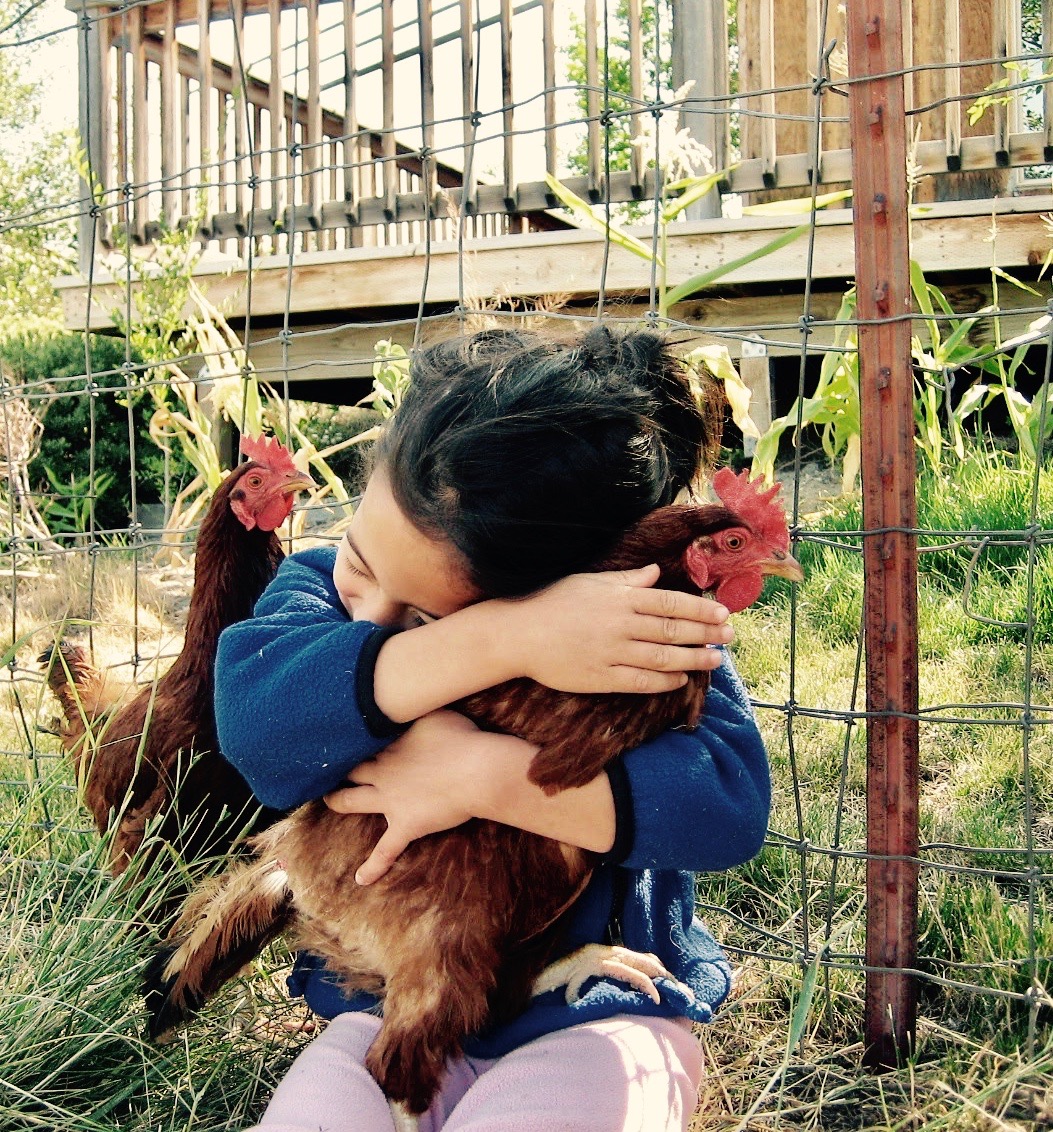 she loves chickens!