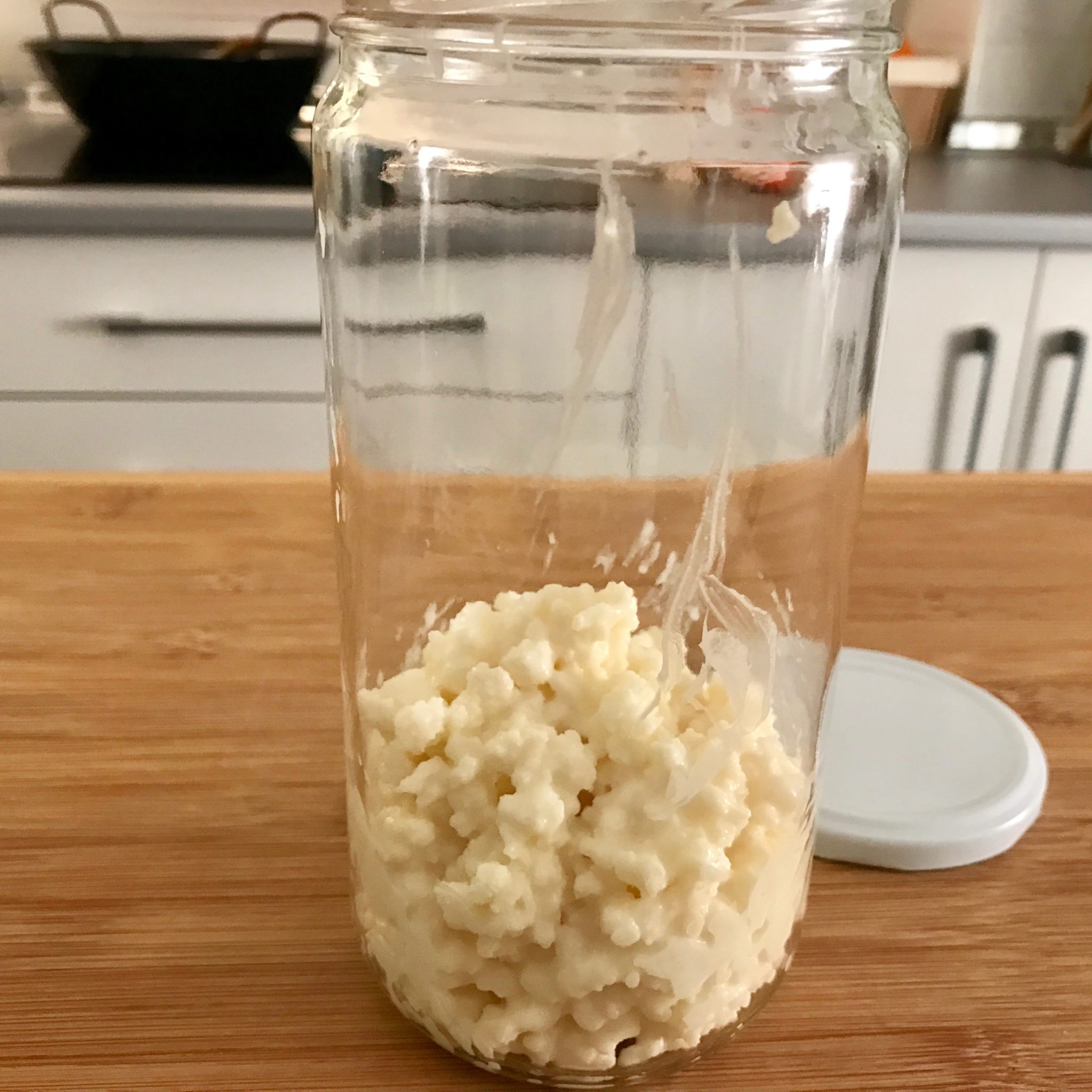 Healthy kefir grains in a jar