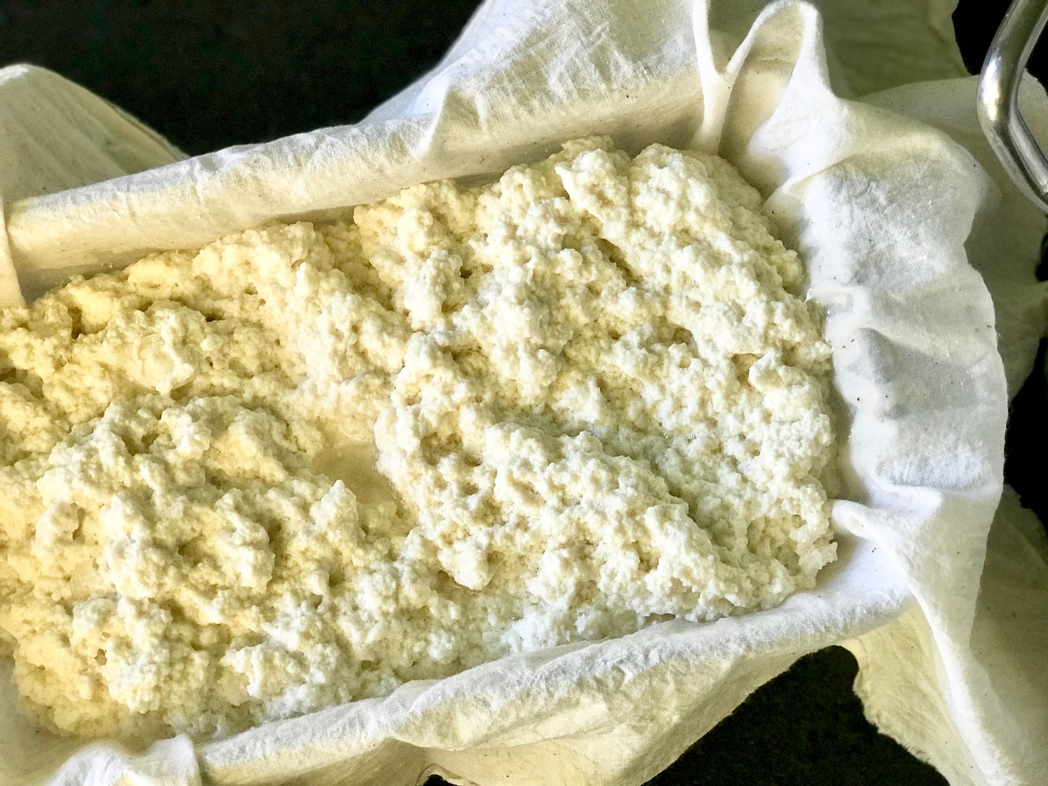 sprouted tofu-make your own with only 3 ingredients