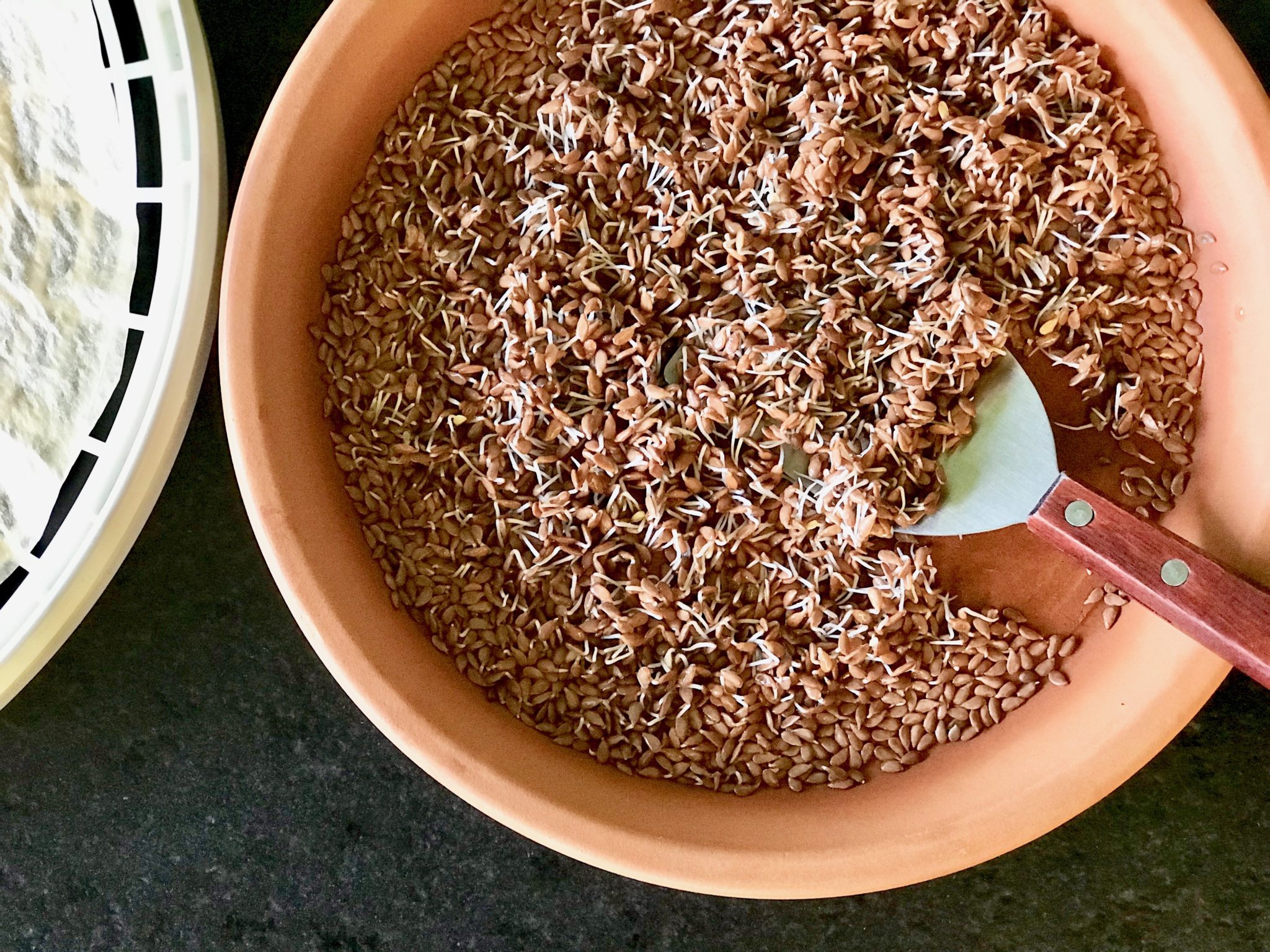 sprouted flaxseed: the best way to get plant-based omega3