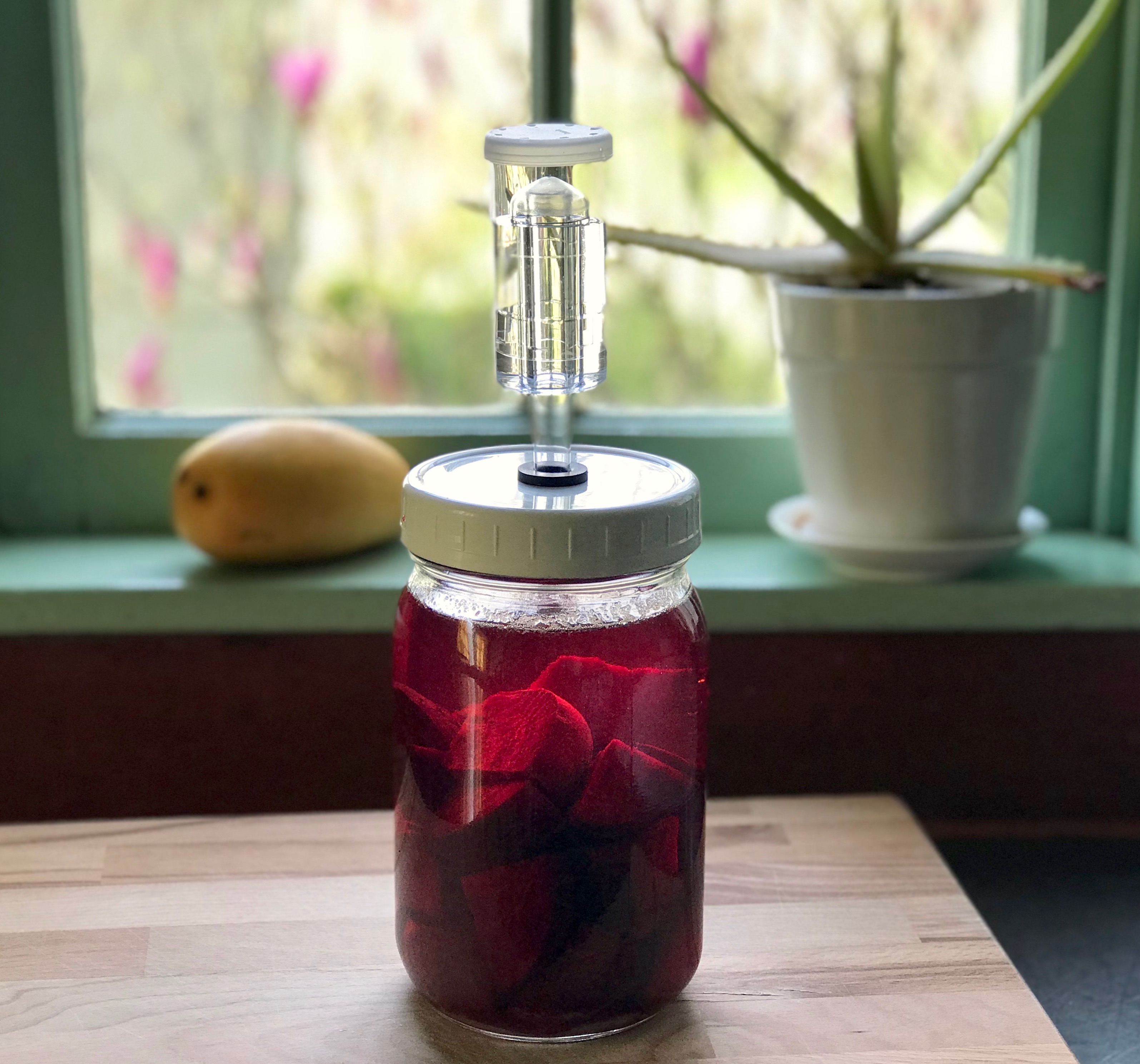 beet kvass