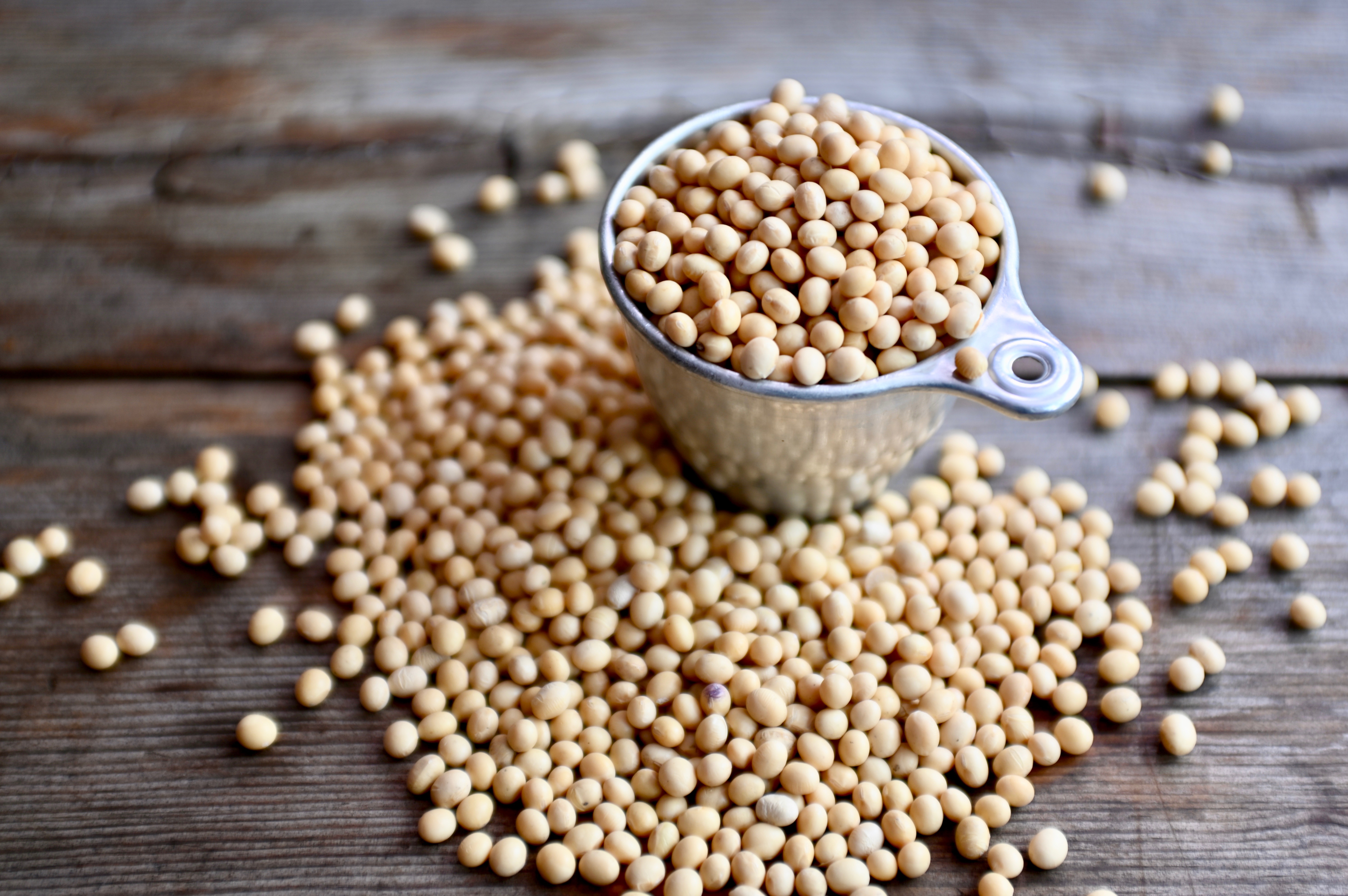 non-GMO soybeans