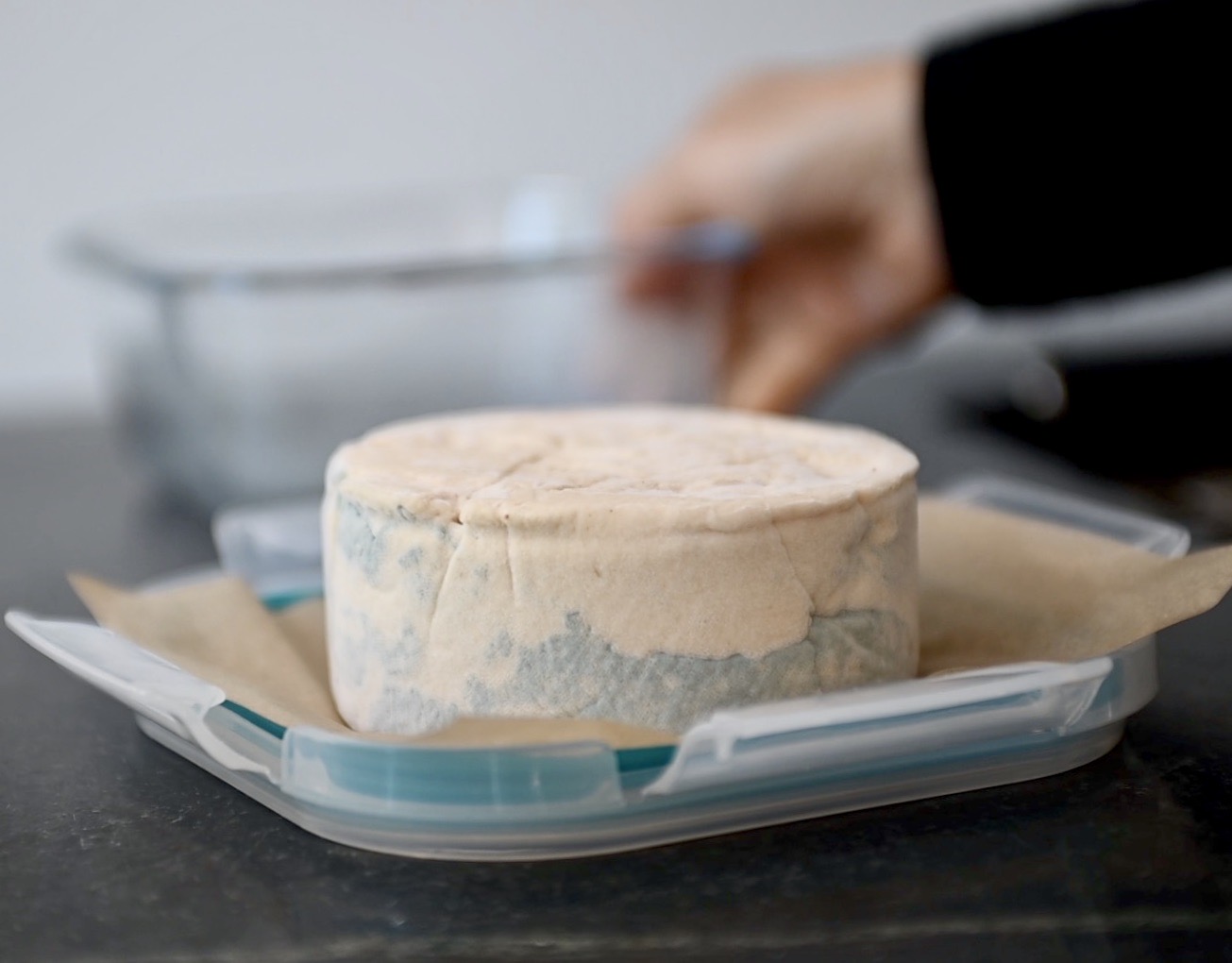 blue mold starts to grow on the cheese