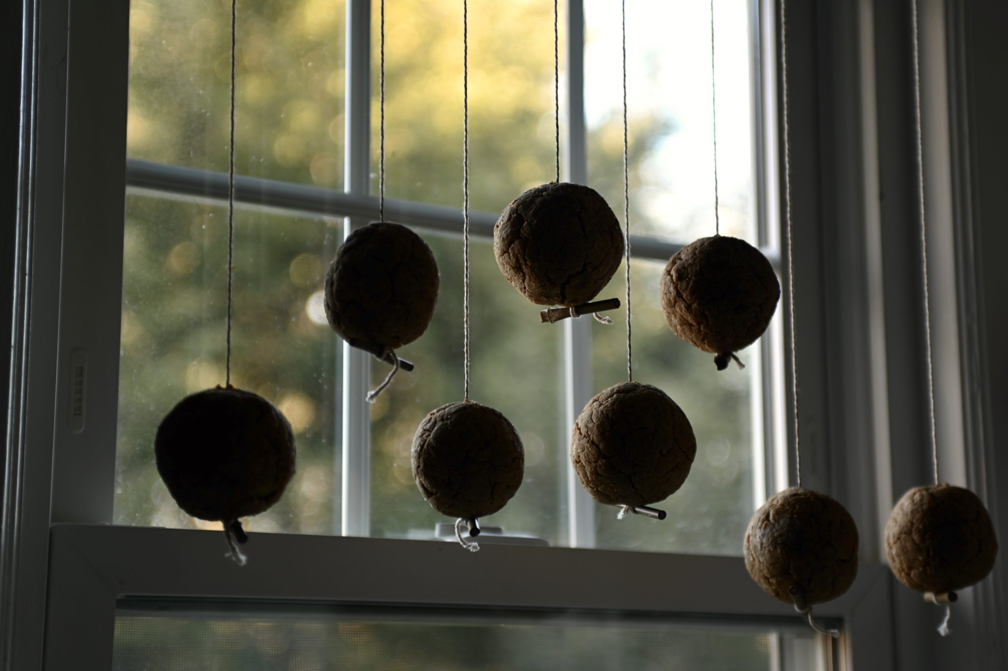 hanging the ball to capture bacteria in the air