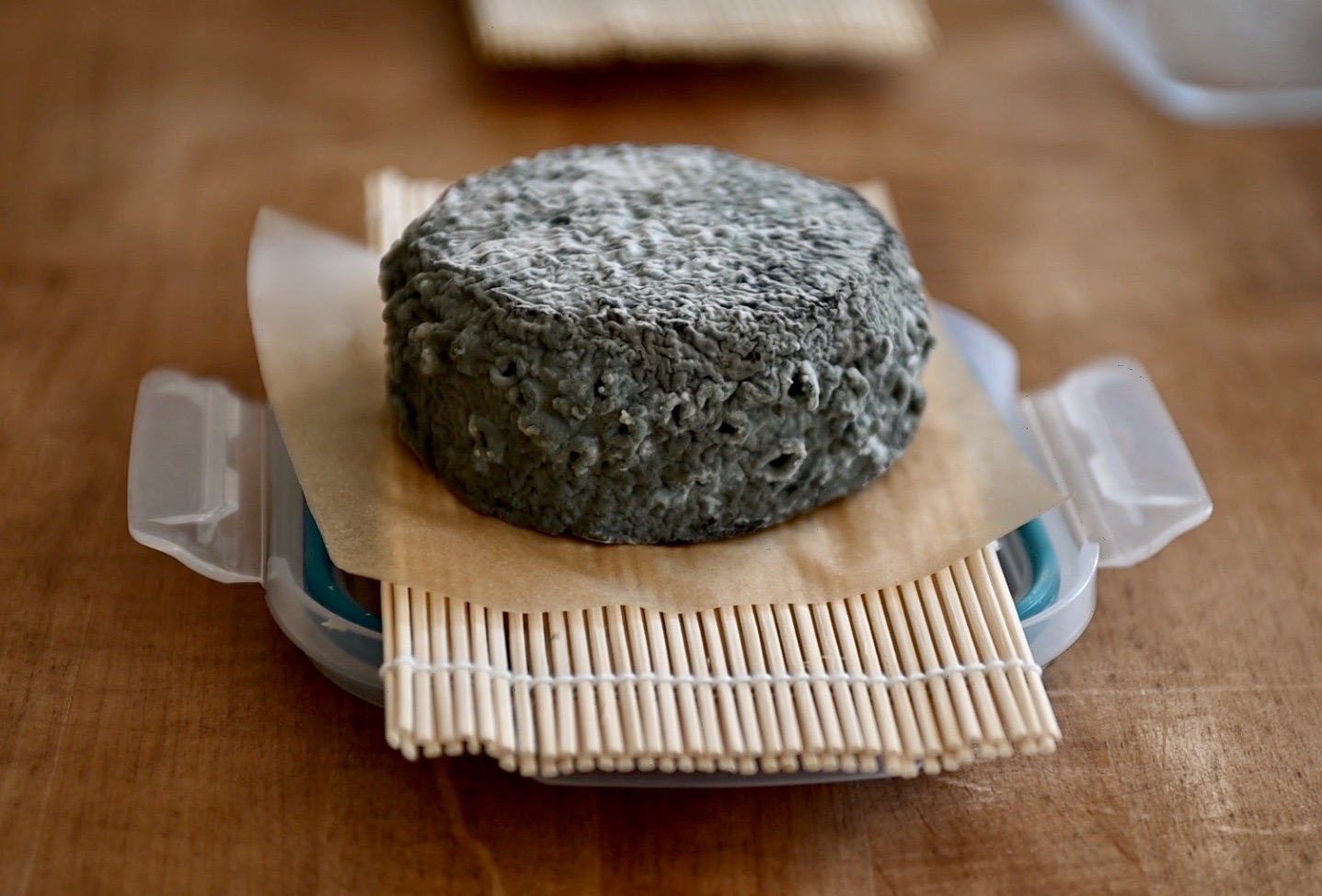 the cheese is covered with blue mold