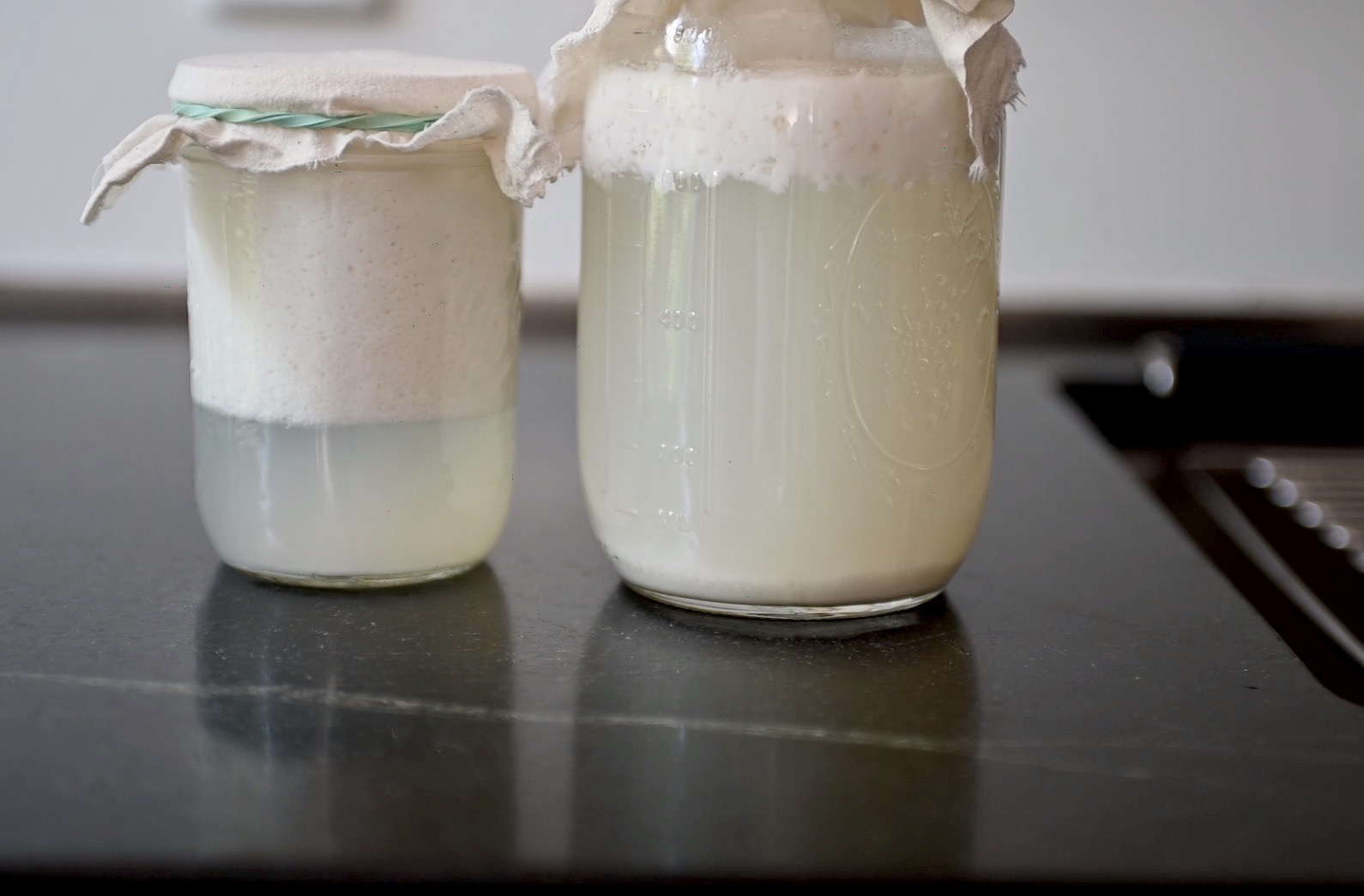 ferment coconut milk