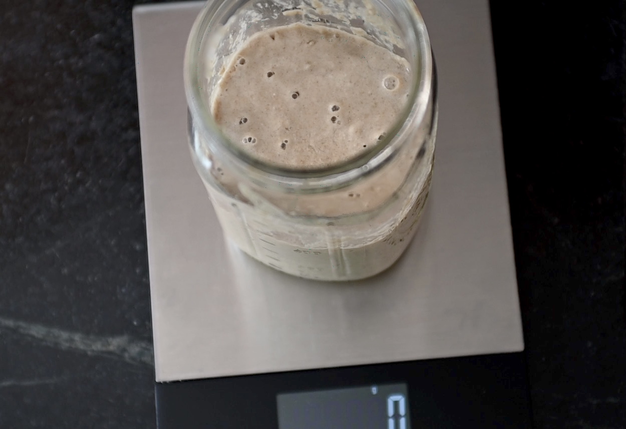 sourdough starter is almost ready