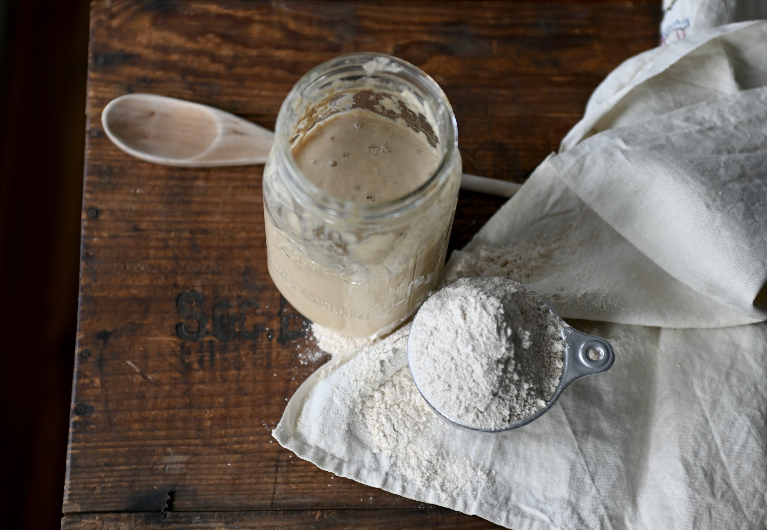 whole wheat sourdough starter