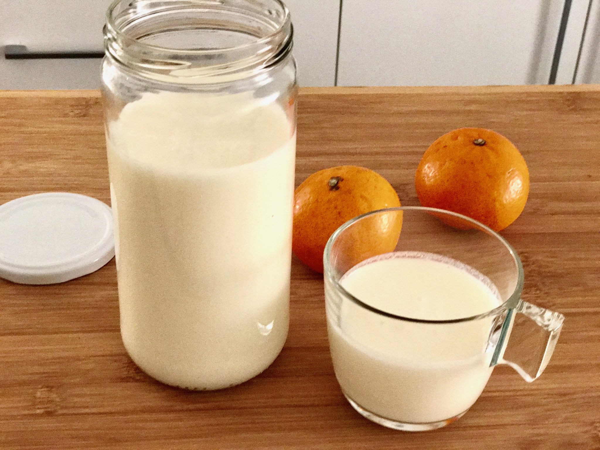 How to make Milk Kefir: A probiotic rich drink made easy